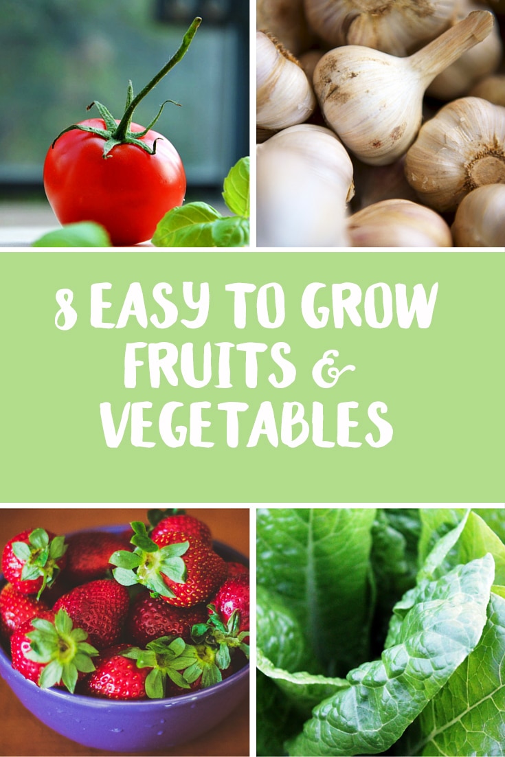 Learn When To Grow Fruits And Vegetables Based On Temperature
