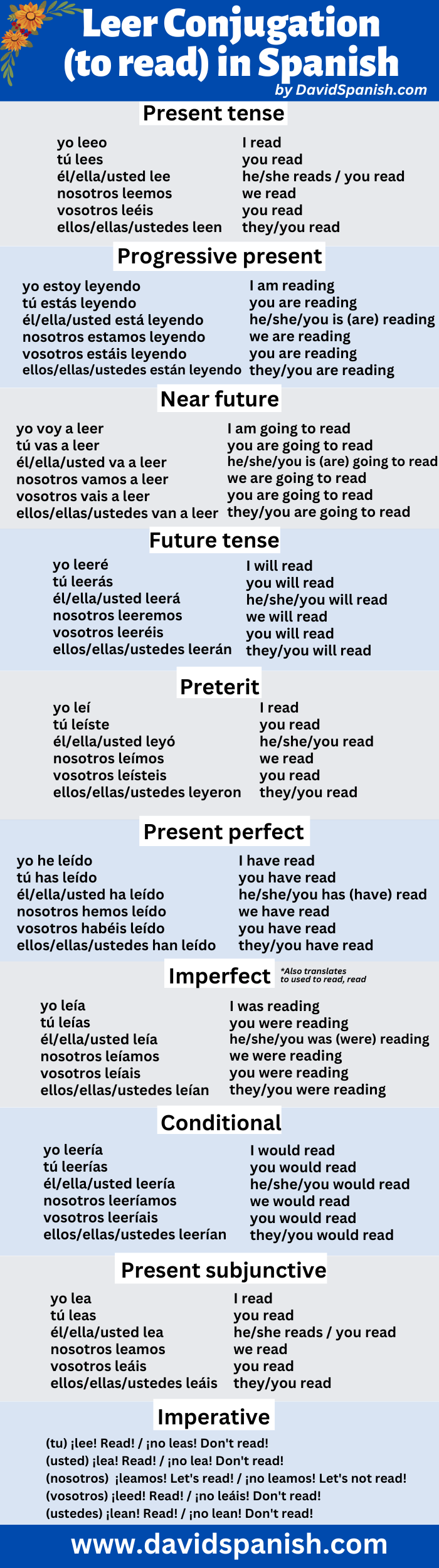 Mastering the Art of Leer Preterite