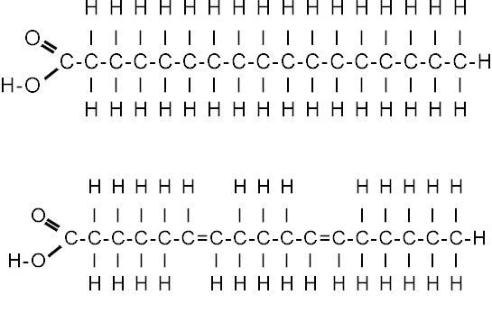Lipids Monomer Structure Lipids Monomer Structure