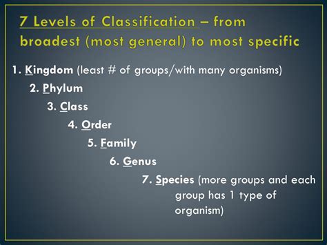 The Ultimate Classification Guide: Levels Explained