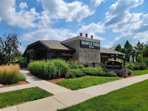 Top 5 Maple Tree Inn Secrets