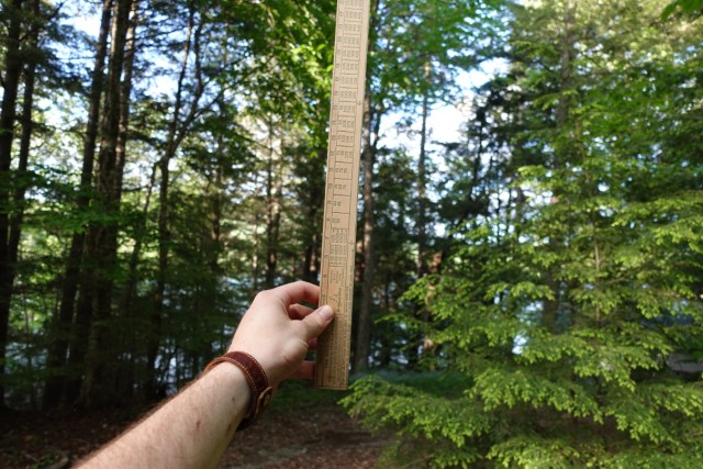 Mastering the Art of Measuring Board Feet