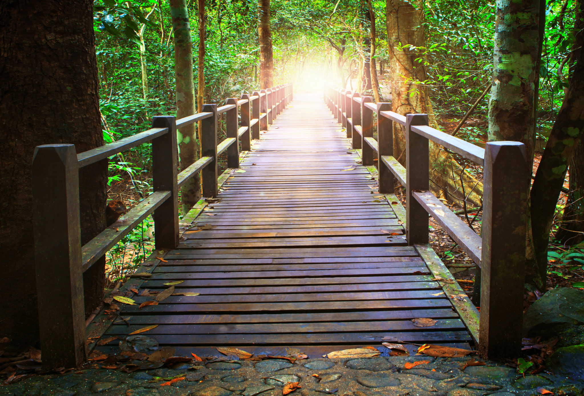 Unveiling Mermaid's User Journey: Explore Options