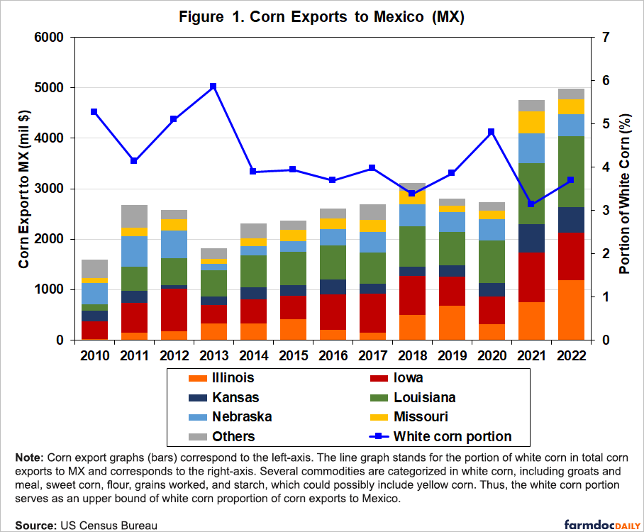 Mexico's Corn War: A Disputed Harvest