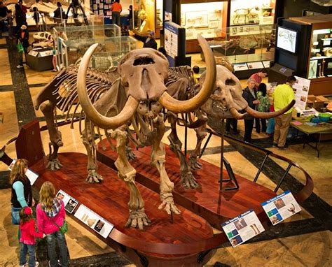 Michigan's Museum: 7 Must-See Treasures Michigan's Museum: 7 Must-See Treasures