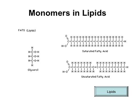 Unlocking the Secrets of Lipid Monomers