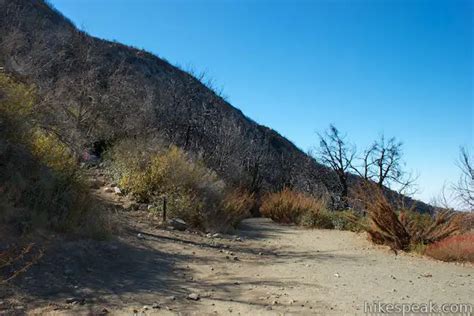 5 Essential Mount Lowe Trail Tips