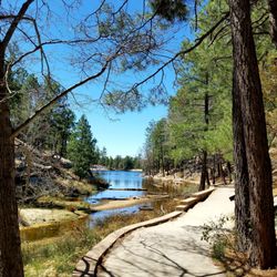 Mt Lemmon Is The Best Review Of Rose Canyon Lake Campground Mount Mt Lemmon Is The Best Review Of Rose Canyon Lake Campground Mount