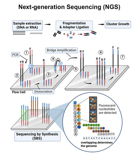 Next Generation Sequencing Technology Current Trends And Advancements Next Generation Sequencing Technology Current Trends And Advancements