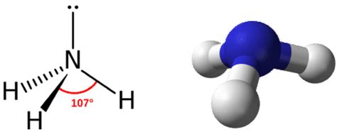 Nh3 Lewis Structure Molecular Geometry Bond Angle Electron Geometry Nh3 Lewis Structure Molecular Geometry Bond Angle Electron Geometry