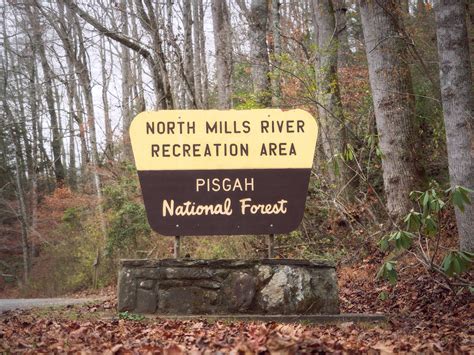 North Mills River Campground North Mills River Campground