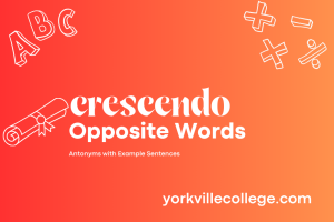 The Decrescendo: A Musical Journey