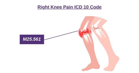Exploring 5 Common Causes of Right Knee Pain