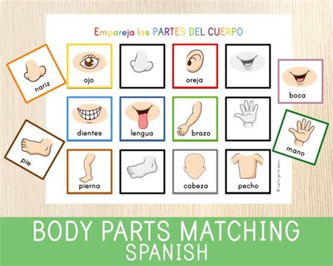 Partes Del Cuerpo En Castellano 1 Imagenes Educativas Partes Del Cuerpo En Castellano 1 Imagenes Educativas