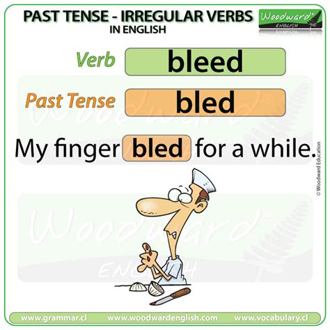 3 Ways To Conjugate Bleed