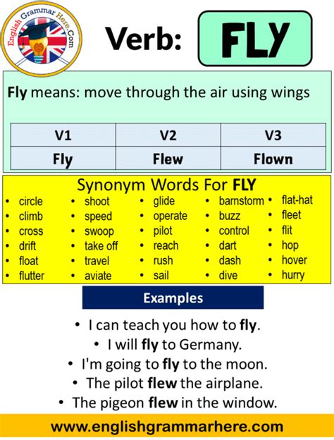 3 Tips: Past Tense of Fly