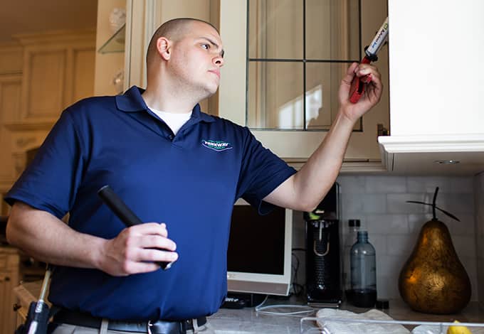 Top 5 Pest Control Secrets