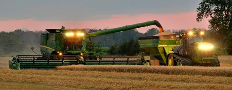 Pin By Andrew Troyno On India Natural Farming Cash Crop Crop Pictures Pin By Andrew Troyno On India Natural Farming Cash Crop Crop Pictures