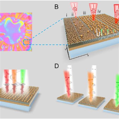 Unveiling 5 Polarization-Sensitive Plasmonic Secrets