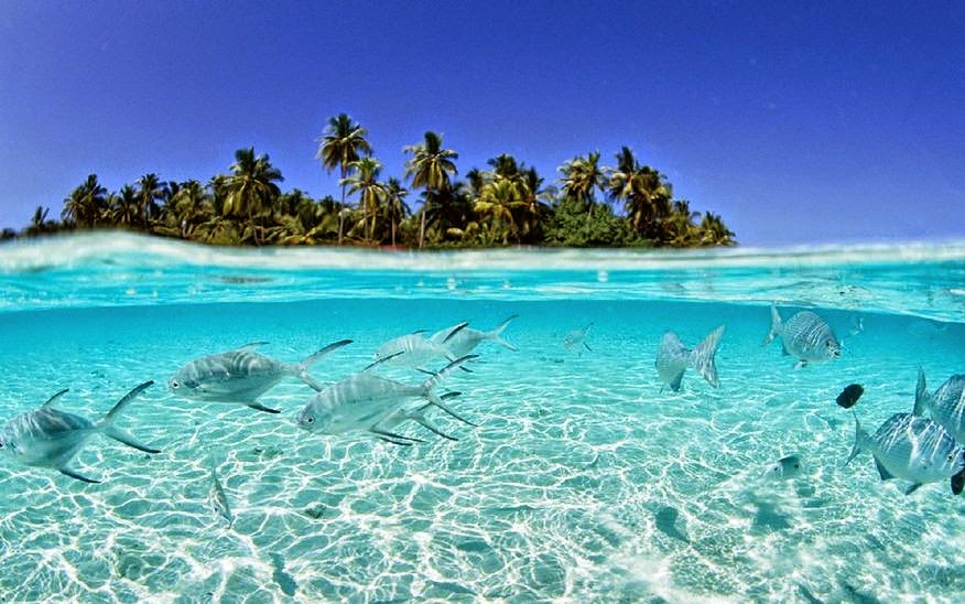 Explore Paradise: Polynesian Island Nation Secrets