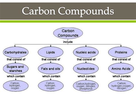 Ppt Carbon Compounds Powerpoint Presentation Free Download Id 2319022 Ppt Carbon Compounds Powerpoint Presentation Free Download Id 2319022