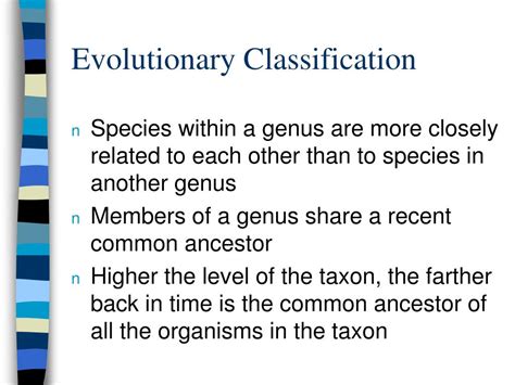 Ppt Classification Powerpoint Presentation Free Download Id 206023 Ppt Classification Powerpoint Presentation Free Download Id 206023