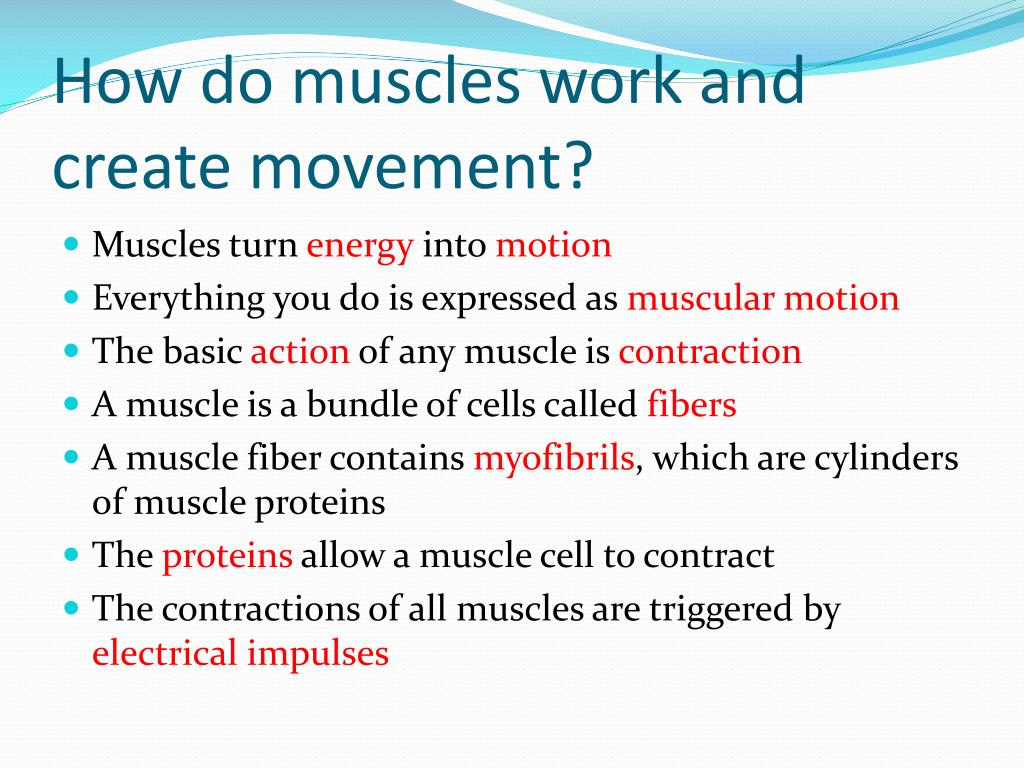 Ppt Muscle Movements Powerpoint Presentation Id 2643272 Ppt Muscle Movements Powerpoint Presentation Id 2643272
