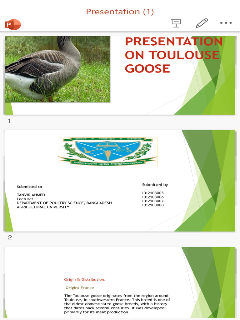 Presentation 1 Pptx