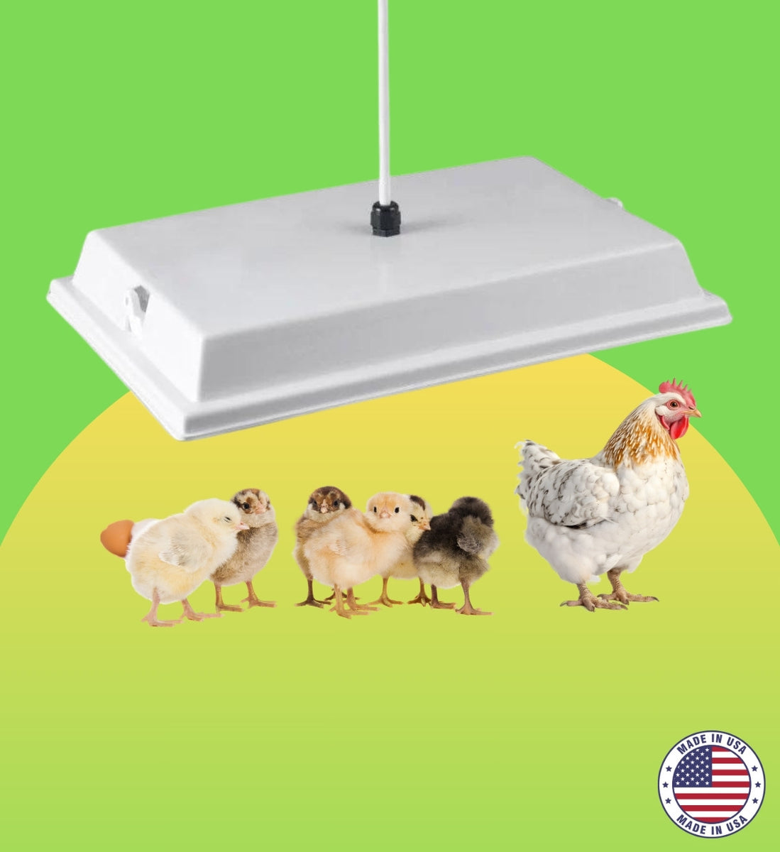 Top 5 Heater Tips for Your Coop