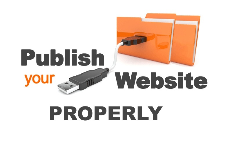 Publish Your Website In A Proper Manner Web Designing Publish Your Website In A Proper Manner Web Designing