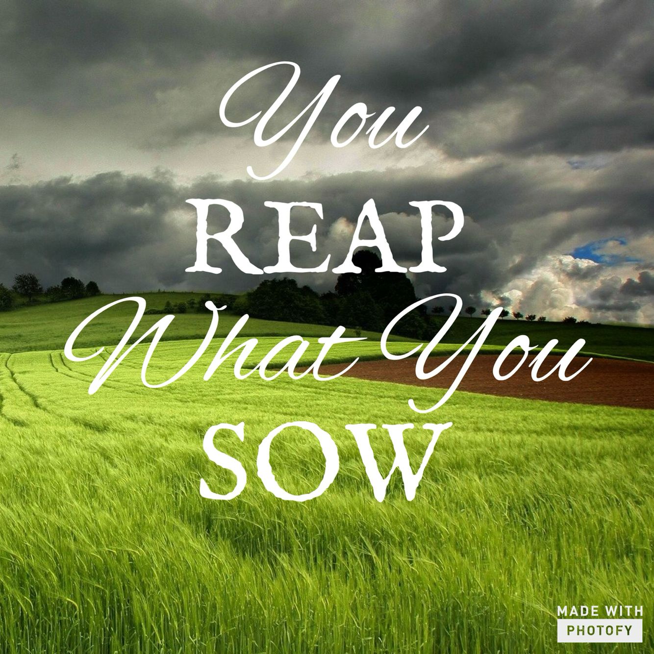 Understanding the Bible's Reap What You Sow Principle
