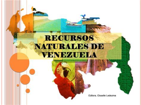 Soberanía Venezolana: Protegiendo Nuestros Recursos Naturales