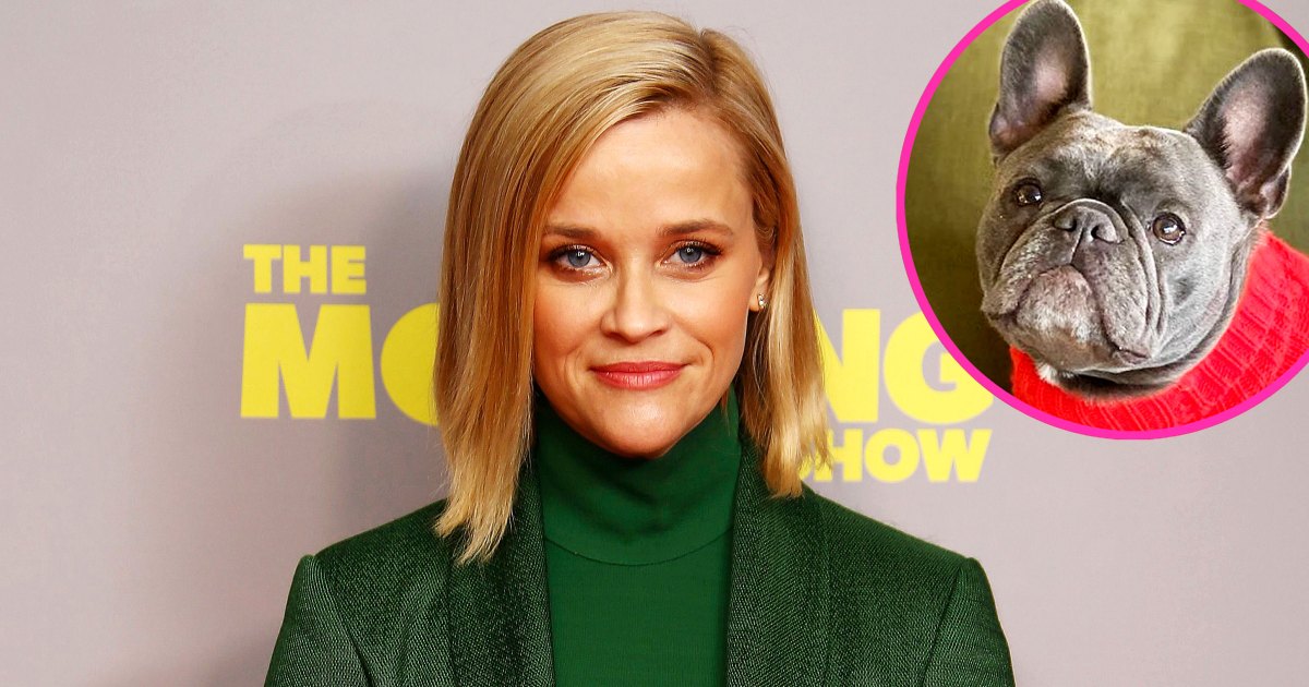 Reese Witherspoon Picks Favorite Bulldog Themed Holiday Gifts Us Weekly Reese Witherspoon Picks Favorite Bulldog Themed Holiday Gifts Us Weekly