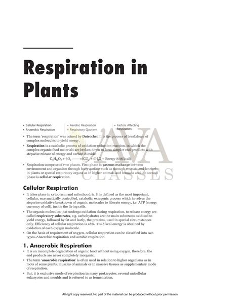 Respiration In Plants Class 11 Free Study Material Pdf Download Pdf Respiration In Plants Class 11 Free Study Material Pdf Download Pdf