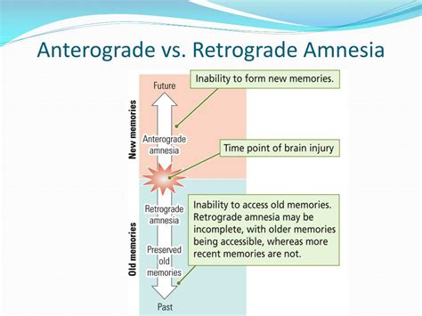 Amnesia Types: 5 Key Differences