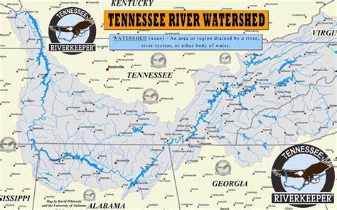 10 Tennessee Rivers You Should Know