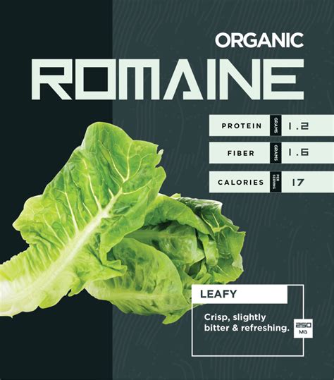 Romaine Freckles Lettuce Seeds 500Mg Aquatree Romaine Freckles Lettuce Seeds 500Mg Aquatree
