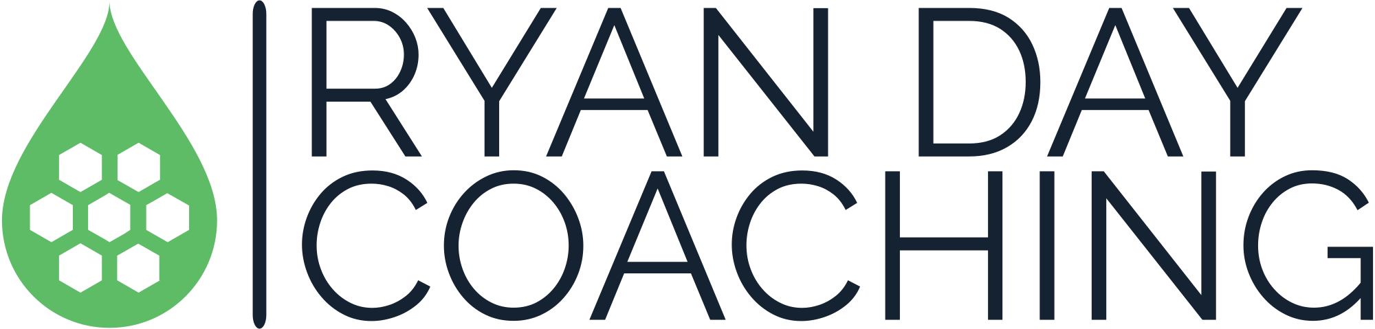 Ryan Day's Coaching Journey: An Overview