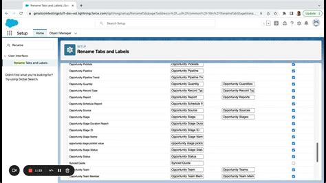 Salesforce Community Label Renaming Tips