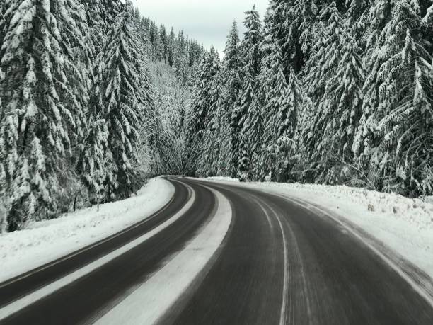 Santiam Pass Stock Photos Pictures Royalty Free Images Istock Santiam Pass Stock Photos Pictures Royalty Free Images Istock
