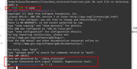 Unraveling Segmentation Fault Core Dumps