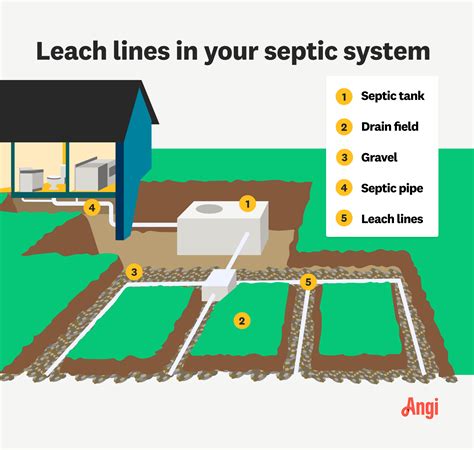 Visual Guide: Understanding Your Septic Field
