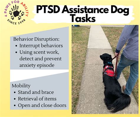 The Ultimate Guide: Service Dogs for PTSD