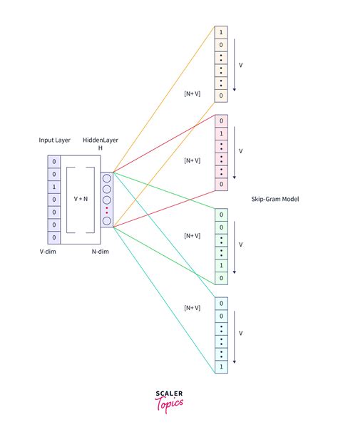 Skip Gram Model In Nlp Scaler Topics Skip Gram Model In Nlp Scaler Topics