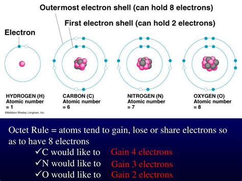 Exploring the Universe's Tiniest Building Block
