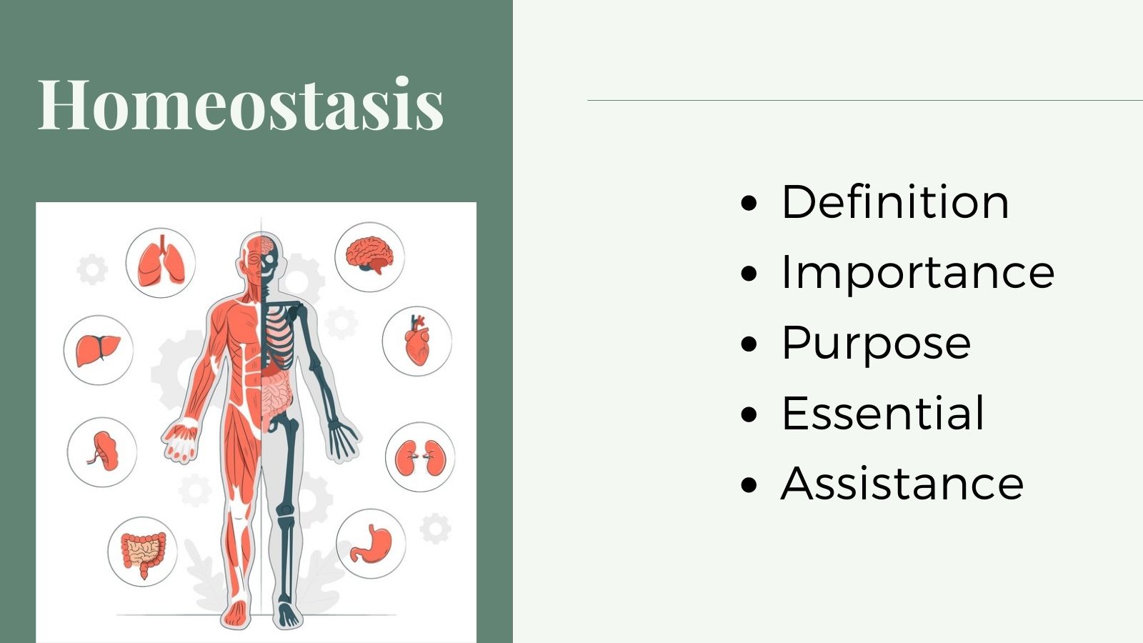 Solved Create An In Depth Mind Map Of The Word Homeostasis Course Hero Solved Create An In Depth Mind Map Of The Word Homeostasis Course Hero