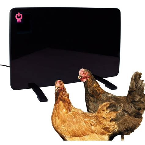 Warm Tips: Space Heater Safety for Chicken Coops