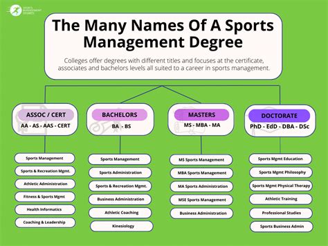 How Sports Management Degrees Lead to Success