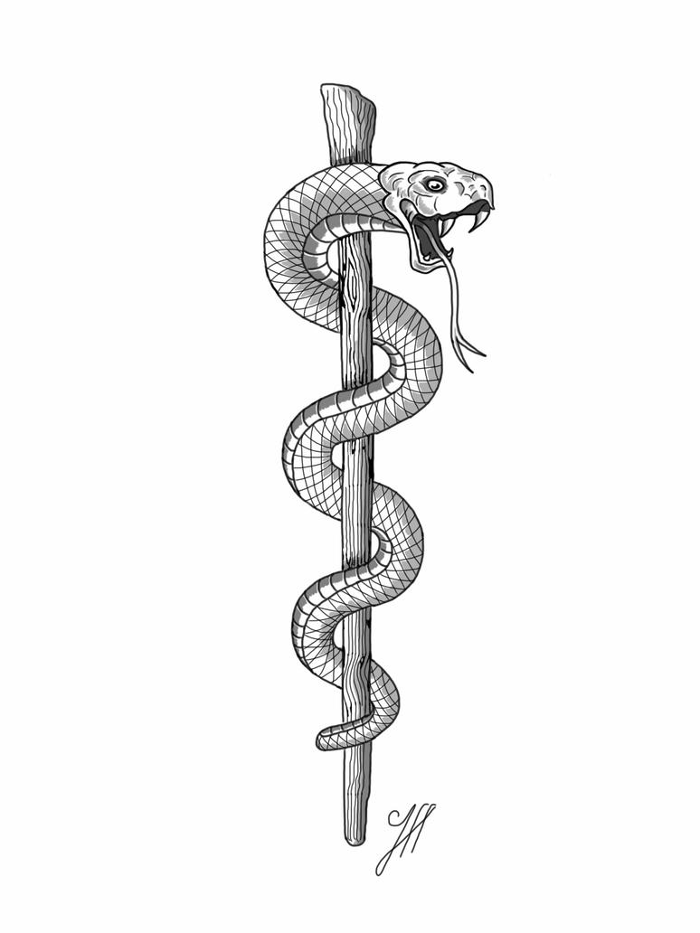 The Staff of Asclepius: A Healing Legacy