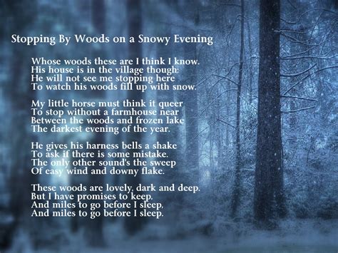 The Woods' Wintery Charm: Unveiled